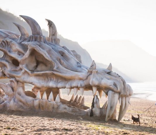 13 Bizarre Things on Beaches