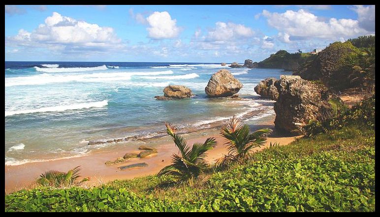 Bathsheba Beach