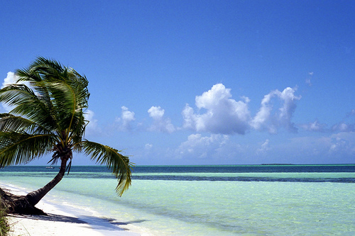 Cayo Guillermo Beaches