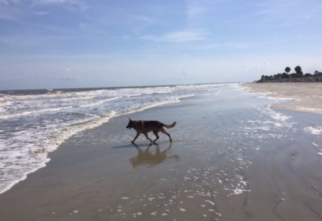 Jekyll Island Beach Jekyll Island, Georgia