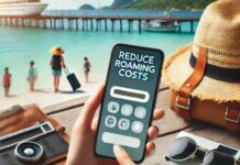 How to Reduce Roaming Costs While on Vacation