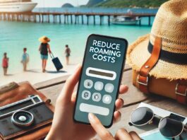 How to Reduce Roaming Costs While on Vacation