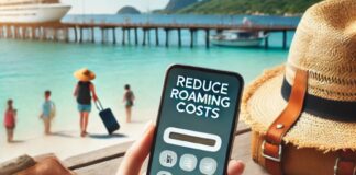 How to Reduce Roaming Costs While on Vacation