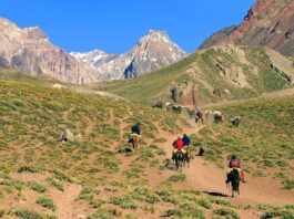 Unique Adventures You Can Only Experience in Argentina