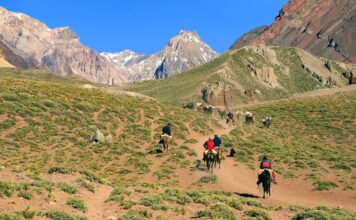 Unique Adventures You Can Only Experience in Argentina