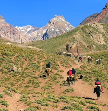 Unique Adventures You Can Only Experience in Argentina