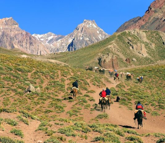 Unique Adventures You Can Only Experience in Argentina